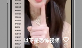 姐姐的朋友在线视频